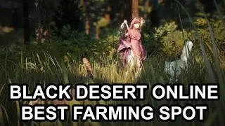 Black Desert Online Tips Best Place to Earn Money