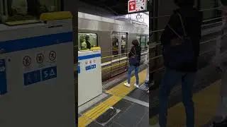 UNPREDICTABLE! INEXPLICABLE! Osaka train platform safety barrier had us guessing #japan #mystery