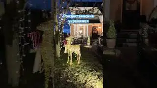Канадские дворики на Рождество #fun #canada #shortsvideo #канада #video #christmas #shorts #short