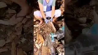 Log Splitter #logsplitter #firewood