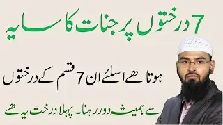 7 Darakht Jin Par Jinnat Ka Saya Hota Hai | Hamesha Door Rahiye | Adv. Faiz Syed