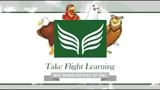 Why Birds Instead of the DISC Letters?