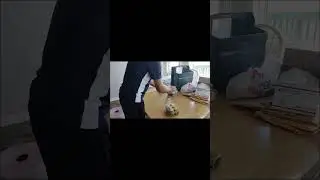 SHIPPING EGGS FAST!!!!