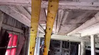 DIY fly control. Do fly glue strips actually work?