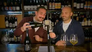 VITEVINI - Scoprendo con Matteo Circella  - BERGIANTI  - FRANCHINA  E GIARONE