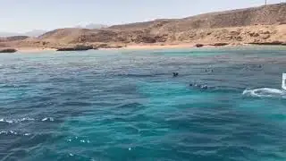 Tiran Island. Red Sea. Sharm-el-Sheikh