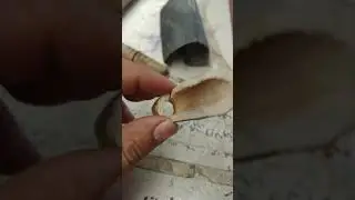 Haciendo reclamo para venado sin gastar dinero