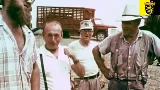 Pennsylvania Dutch Country | The Fancy Dutch