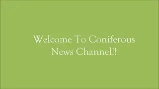 TOP TEN TECHNOLOGY NEWS REPORTS!!!