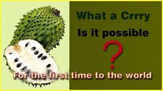 Soursop curry in the first time