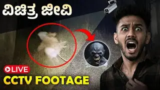🛑BREAKING | Strange Creatures Caught on Camera in Karnataka Village