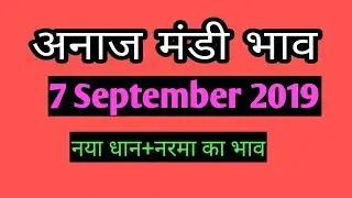 7 September 2019 Mandi Rates | New 1509 Paddy Rates | 1509 Dhan ka bhav
