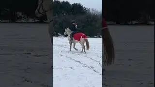 ПЕРВАЯ ПОЕЗДКА 2026 ГОДА!!! И первая поездка месяца!! Хе-хе-хе