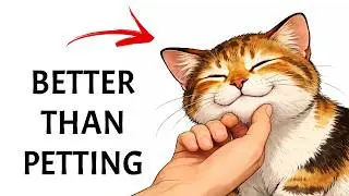 10 Irresistible Things Cats Love More Than Petting
