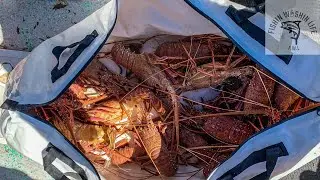 EP 19 PERTH CRAYFISH WHITE RUN and HALCO TROLLING LURES | Fishing Australia