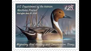 2024 Federal Duck Stamp Art Contest - Day 2