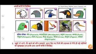 3rd Class। Worksheet no. 134(B)। 16/12/2021। EVS। Ncertbooks। Doe Worksheet 134B। CLASS-3।
