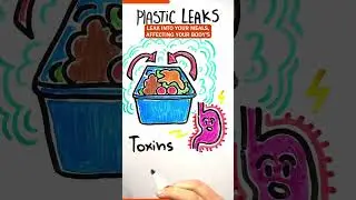 Why You Shouldn&rsquo;t Store Food in Plastic? Hidden Toxins on Your Plate!