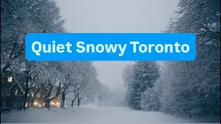 When Snow Falls in Silence ❄️ Calm Winter Ambience in Toronto