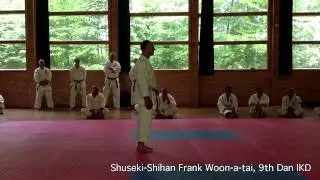 Judging IKD Kata, Demo & Review | IKD World Camp 2014 | Shuseki Shihan Frank Woon-a-tai 9th Dan IKD