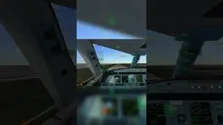 AIRBUS A320 IS LANDING ON NEWARK LIBERTY INTL. AIRPORT | LITTLE BUMPY | #shorts