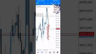 You can't make it without seeing a blue screen from pipsmasher 😂😂.... #apex #forex #trendingshorts