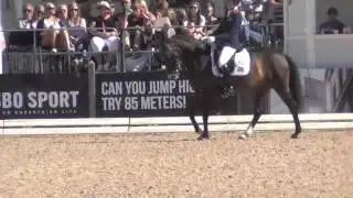 Rebecca Bell and Valido's Sunshine CH-EU-P Kur 2015