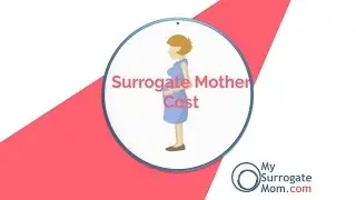 Surrogate Mother Cost