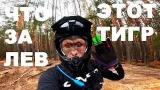 ТРЕНИРОВОЧНАЯ ПОКАТУШКА