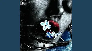 Pieces