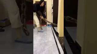 fake big puppy || Aw Pets