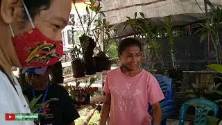 Pameran Anggrek & Tanaman Hias Lembah Moy Kampung Dosay || Distrik Sentani Barat Kabupaten Jayapura.