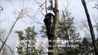 Jim Stepp climbs up a tall install of his famous Stepp Ladder in Casco Maine