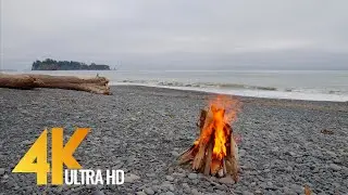 4 HOURS Campfire on Rialto Beach, Olympic National Park - 4K 10 bit Color Video