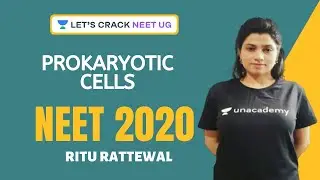 Phoenix 2.0: Biology Most Important Video for NEET 2025 | Udaan