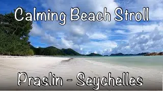 Relaxing Beach Stroll Praslin, Seychelles (Anse Government and Volbert)