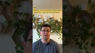 Kullancs is okozhat agyvelőgyullad&aacute;st?