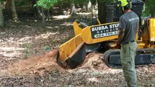 Bubba Stump Grinding