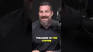 Dr. Huberman's on Why L-Theanine + Caffeine Is the Perfect Combo