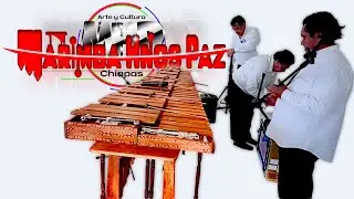 Marimba Hnos Paz Conquistando público