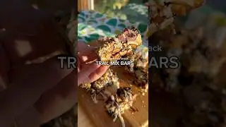 Homemade Trail Mix Bars