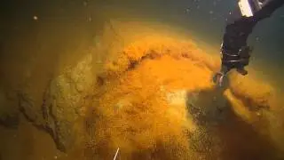 Kick'em Jenny Volcano with Dr. Steve Carey | Nautilus Live