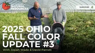 2025 Fall Color Update 3