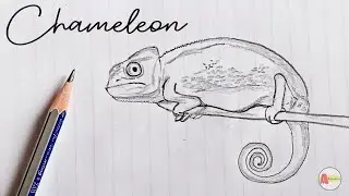 How to Draw a Chameleon step by step [Tutorial]
