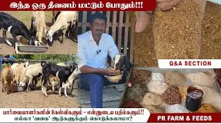 🐐🐑ஆடு வளர்ப்பு+ CFFS தீவனம் பற்றிய கேள்விகளுக்கு என் விளக்கங்கள்‼️