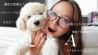 Q&A
