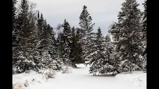 Walk along a small trail after a snowstorm in the city of Thunder Bay, canada 🇨🇦 