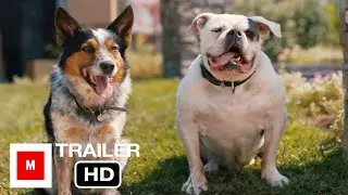 Pups Alone (2021) | Official Trailer | Jennifer Love, Keith David, Danny Trejo |