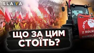 Поляки ЗНОВУ вийшли на вулиці! Фермери протестують: послухайте, що збурило суспільство | Новини