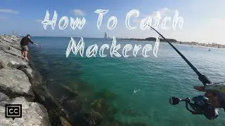 How To Catch Lots Of Fish | Technique For Mackerel (മലയാളം)